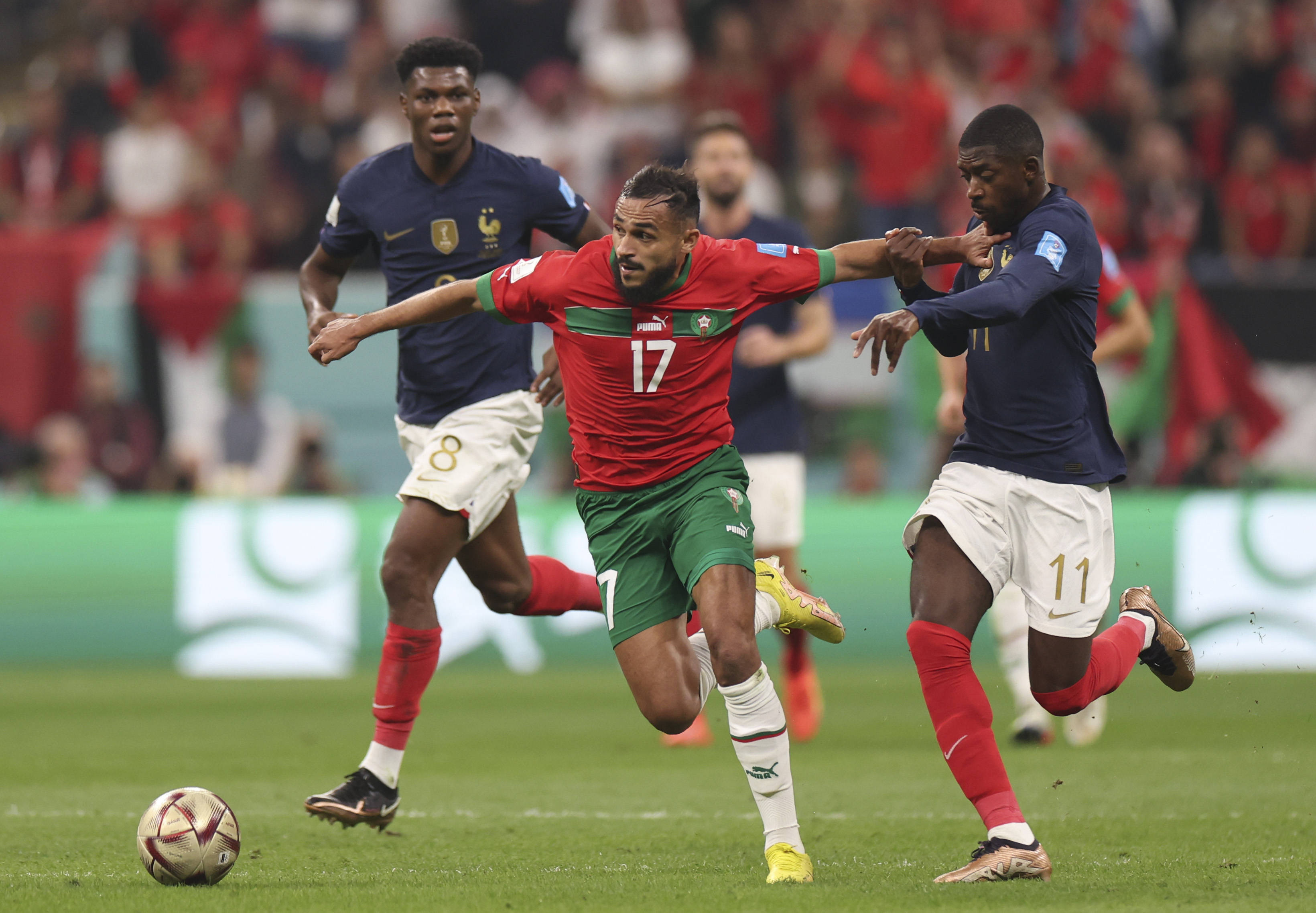 一份为期三 一份为期三