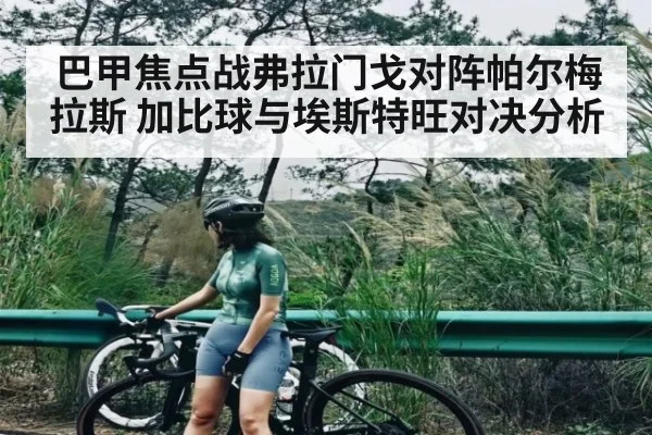 巴甲焦点战弗拉门戈对阵帕尔梅拉斯 加比球与埃斯特旺对决分析